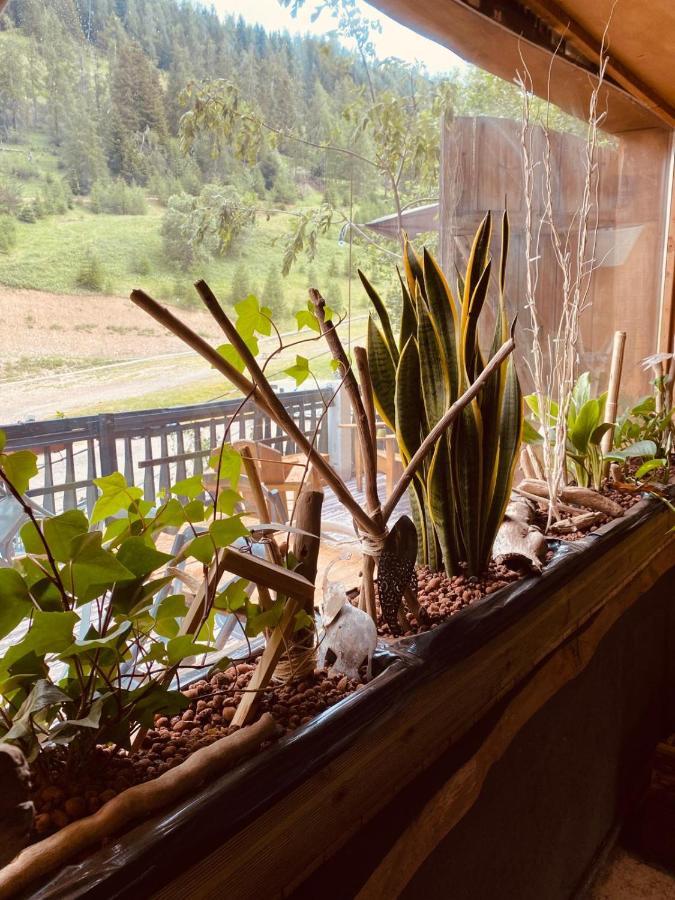 לה קולמיאן Hotel Green Ecolodge מראה חיצוני תמונה